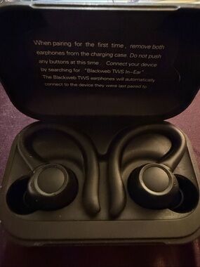 Blackweb Matte Black Wireless Earbuds With Charging Case